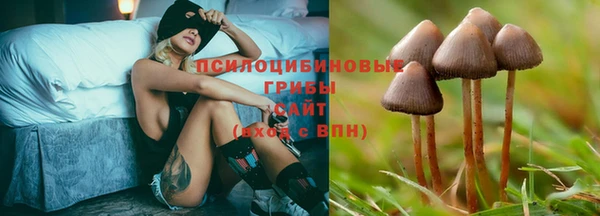 спиды Гусь-Хрустальный
