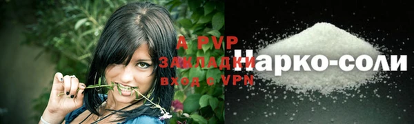 альфа пвп Гусев