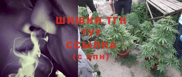 альфа пвп Гусев