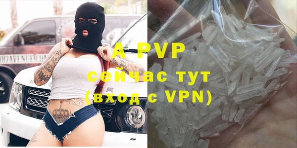 альфа пвп Гусев