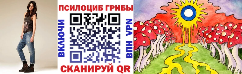 дарк нет официальный сайт  Татарск  Псилоцибиновые грибы мухоморы 